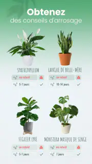 Blossom - Reconnaissez plantes screenshot 3