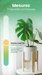 Blossom - Reconnaissez plantes screenshot 7