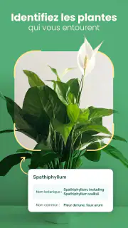 Blossom - Reconnaissez plantes screenshot 8