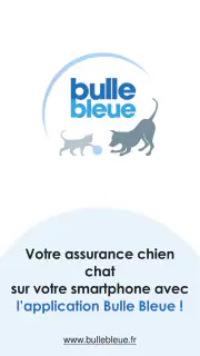 Bulle Bleue screenshot 1