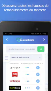 Capital Koala screenshot 8