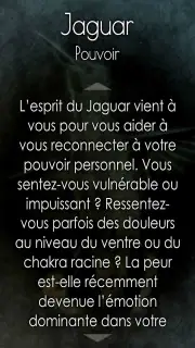 Cartes Oracle Chamaniques screenshot 5