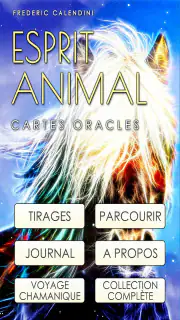 Cartes Oracle Chamaniques screenshot 8