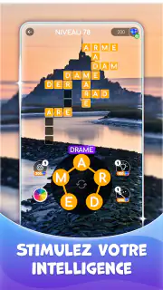 Casse-tête Relaxant screenshot 6