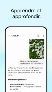 ChatGPT screenshot 4