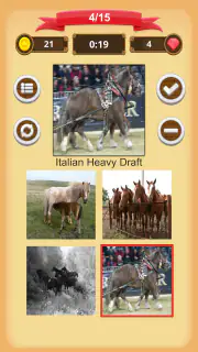 Chevaux - Quiz screenshot 6