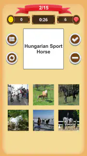 Chevaux - Quiz screenshot 7