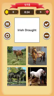 Chevaux - Quiz screenshot 8