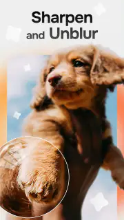 Citrus 1 Tap Photo Enhancer AI screenshot 5