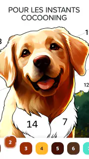 Color a Day: jeu de coloriage screenshot 8