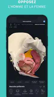 Complete Anatomy screenshot 4