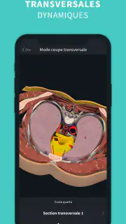 Complete Anatomy screenshot 6