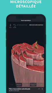 Complete Anatomy screenshot 7