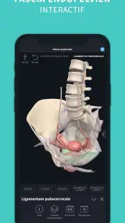 Complete Anatomy screenshot 8