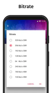 Convertisseur MP3 - MP4 to MP3 screenshot 4