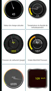 Diagnostic Tor OBD2 screenshot 6