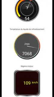 Diagnostic Tor OBD2 screenshot 7