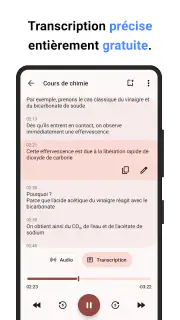Dictaphone screenshot 4