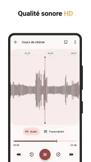 Dictaphone screenshot 5