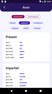 Dictionnaire Anglais-Français  screenshot 5