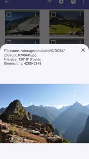 DiskDigger photo/file recovery screenshot 4