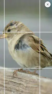 Drawing Grid screenshot 4