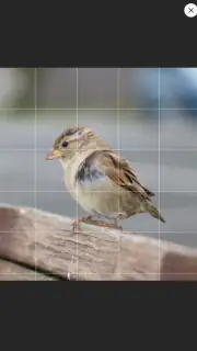 Drawing Grid screenshot 5