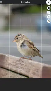 Drawing Grid screenshot 8