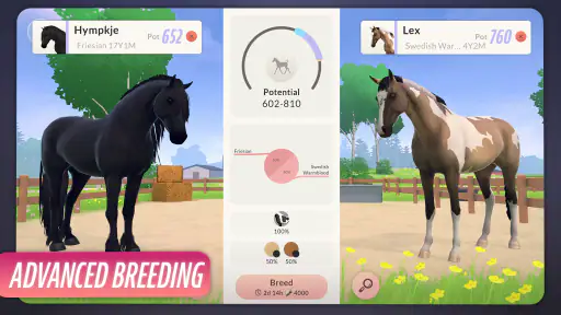 Equestrian the Game screenshot 5