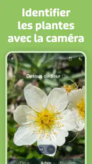 Flora Incognita screenshot 2