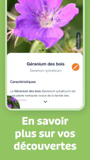 Flora Incognita screenshot 3