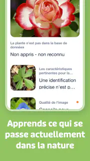 Flora Incognita screenshot 5