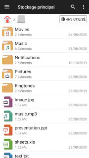 Gestionnaire de fichiers screenshot 2