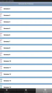 Gestograma - Embarazo Facemamá screenshot 7