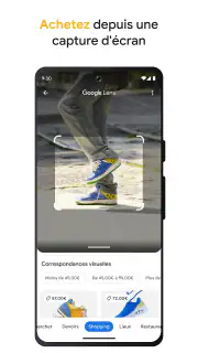 Google screenshot 2