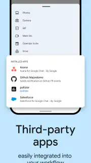 Google Chat screenshot 5
