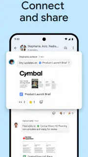 Google Chat screenshot 7