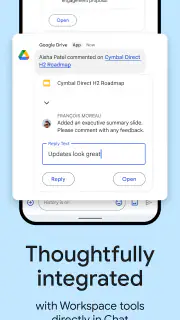 Google Chat screenshot 8