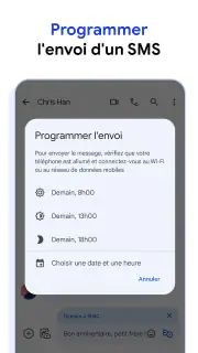 Google Messages screenshot 8