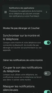 Google Pixel Watch screenshot 6