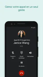 Google Voice screenshot 2