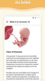 Grossesse screenshot 2
