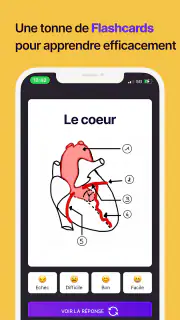 Hippocast screenshot 3