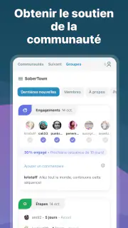I Am Sober - Je suis sobre screenshot 6
