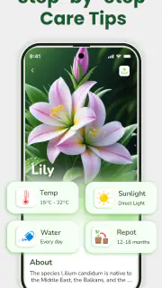 Identificateur de plantes screenshot 2