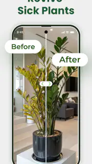 Identificateur de plantes screenshot 3