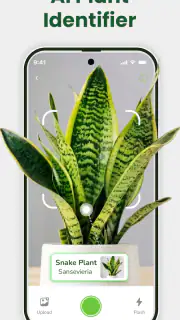 Identificateur de plantes screenshot 8