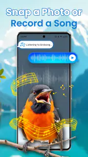 Identification des oiseaux screenshot 2