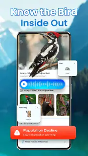 Identification des oiseaux screenshot 3