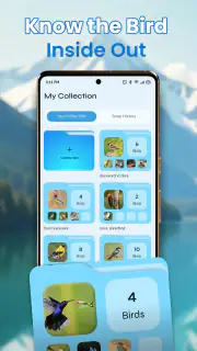 Identification des oiseaux screenshot 4